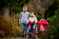 Dominik & Max Family Session